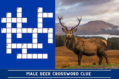 Like venison crossword clue. Things To Know About Like venison crossword clue. 